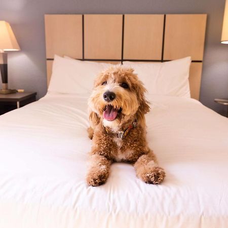 Sonesta Simply Suites Pittsburgh Airport Imperial Eksteriør billede