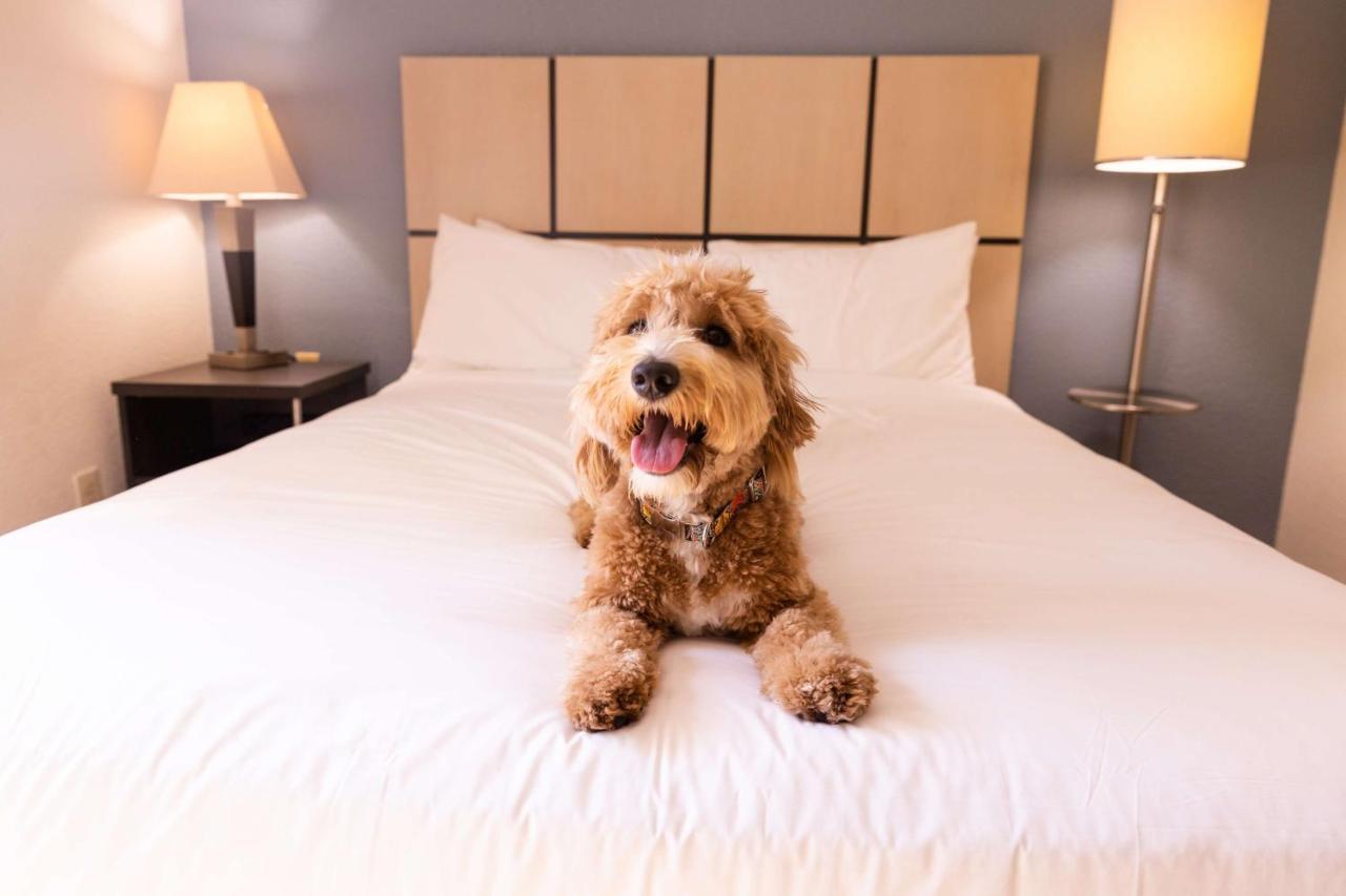 Sonesta Simply Suites Pittsburgh Airport Imperial Eksteriør billede